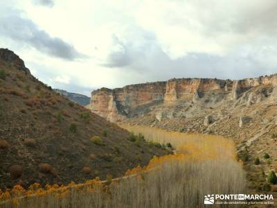 Hoces Río Riaza - Villa Ayllón; senderos en la palma de paseo por madrid